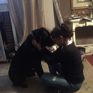 Meet your Posher, Alex